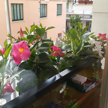 Veru 4* Sorrento