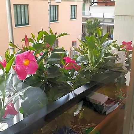Veru Penzion